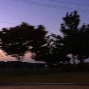 欧美色美色综合图
