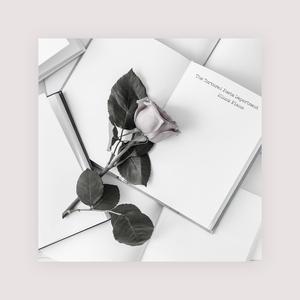 欧美色美色综合图
